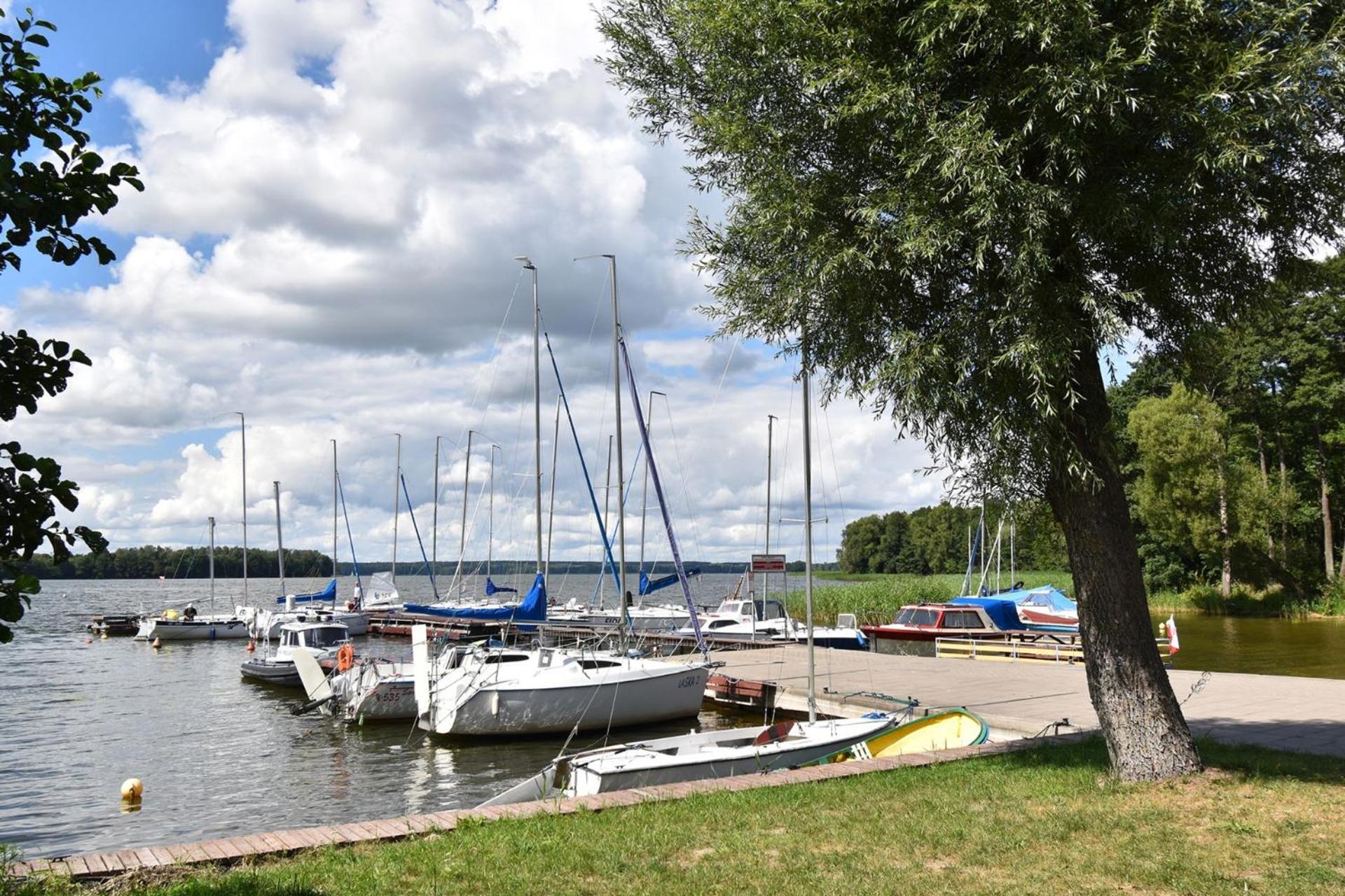 Dadaj Park Tiny * Biskupiec (Olsztyn)